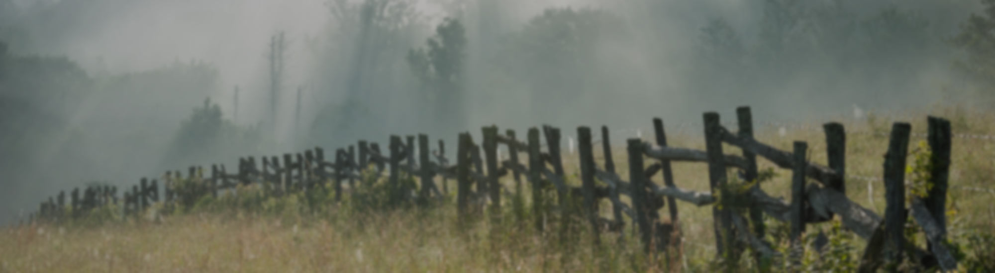 Dentures Rocky Mount NC Dental Implants Denture Specialists