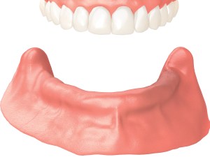 Digital illustration of the lower jaw ridge without teeth
